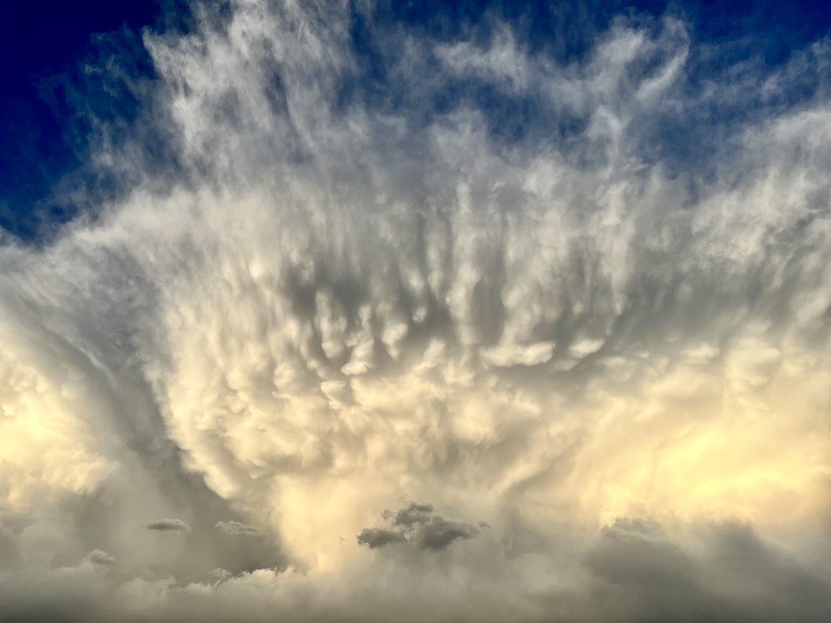 JasonKechely's tweet image. This thing wants to eat me, I'm sure of it...
#HungryClouds  #MTSummer