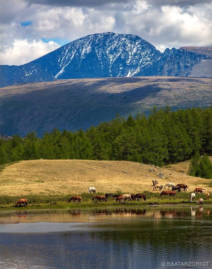 Өглөөний мэнд.