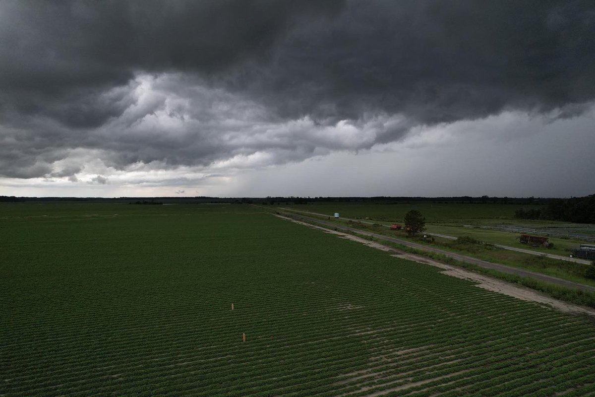 Nothing like almost having to warranty your new drone for a cool shot😅 happy to see some rain on some peanuts though!