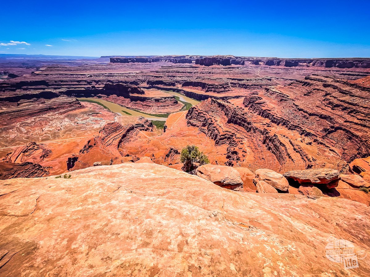wander_filled's tweet photo. Just down the road from Canyonlands National Park is Dead Horse Point State Park, which has epic views all its own with a fraction of the crowds at its neighborhood, including this view of the horseshoe bend in the Colorado River!
#VisitUtah #Moab #DiscoverMoab https://t.co/g9jIIMnuqK