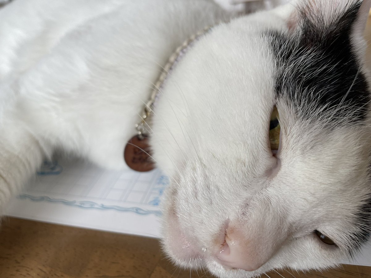 Akiさん Glassartist Akihiroglass Twitter