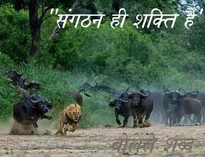 संगठन के कारण ही दुनिया को नरक बना देने वाली विचारधारा के विश्व में आज 56 देश है। और संसार भर के आर्यों को एकता सूत्र में बांधने का सामर्थ्य रखने वाला महा संगठन आर्य महासंघ। आप सभी को चक्रवर्ती राज्य तक दिला सकता है। तो आओ अपने स्वार्थों को छोड़ संगठन शक्ति में बंधे और बांधे।