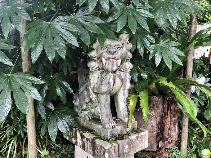 Popular Tweets Of 若草 2 تحليلات تويتر الرسومية الخاصة بهوتويت Whotwi