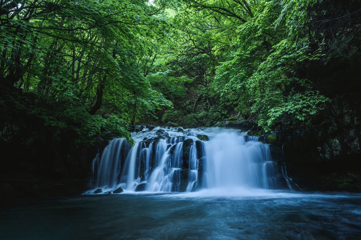 Kaz_Psychedelic's tweet photo. Tateshina Waterfall ✨
#waterfall #japan #nagano #nature #naturePhotography #naturelovers #nikon #nikoncommunity https://t.co/eM46QH9JRM