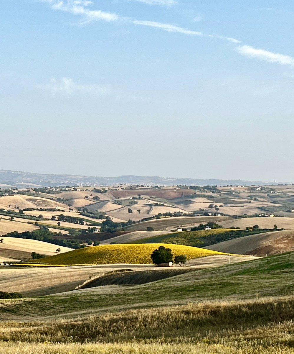 ingridwittert's tweet photo. Ze hebben gewoon een hele berg goud gestort! #DitisItalie https://t.co/AgGMQ5aCLS