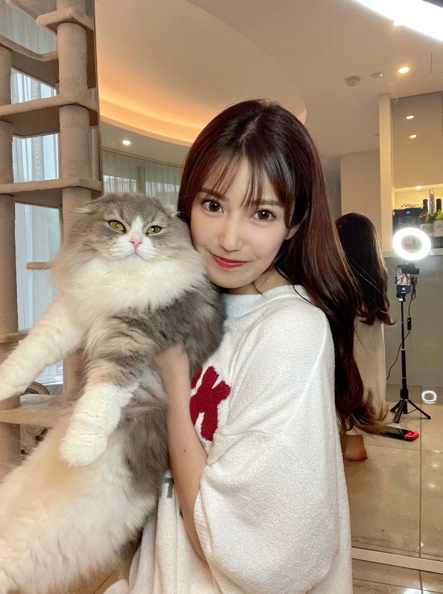 _iam_natsuki's tweet photo. 甘えん坊なレイちゃん🐈💓
モフモフで可愛い〜！

最近、抱っこが大好きみたいなの！
遊んで〜って来るから可愛い過ぎる🥺🤍

皆んなは犬派？or猫派？💭 https://t.co/m4CPODDa7i