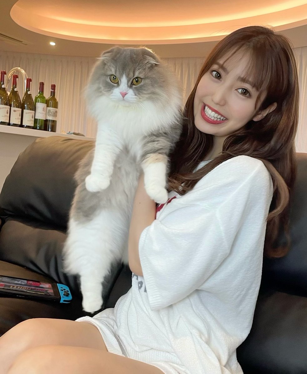 _iam_natsuki's tweet photo. 甘えん坊なレイちゃん🐈💓
モフモフで可愛い〜！

最近、抱っこが大好きみたいなの！
遊んで〜って来るから可愛い過ぎる🥺🤍

皆んなは犬派？or猫派？💭 https://t.co/m4CPODDa7i