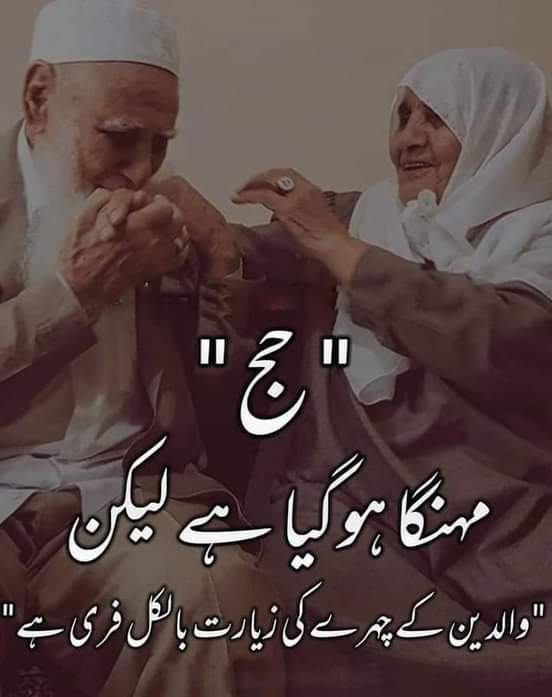 Nazeer Hussain Nazeer Hussain tweet media