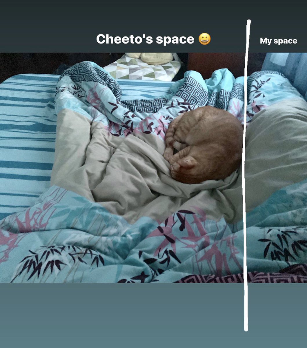 chelseabagots's tweet photo. My cat's love language is giving me leg and back pains 🥰 https://t.co/DDLZBLDSqo