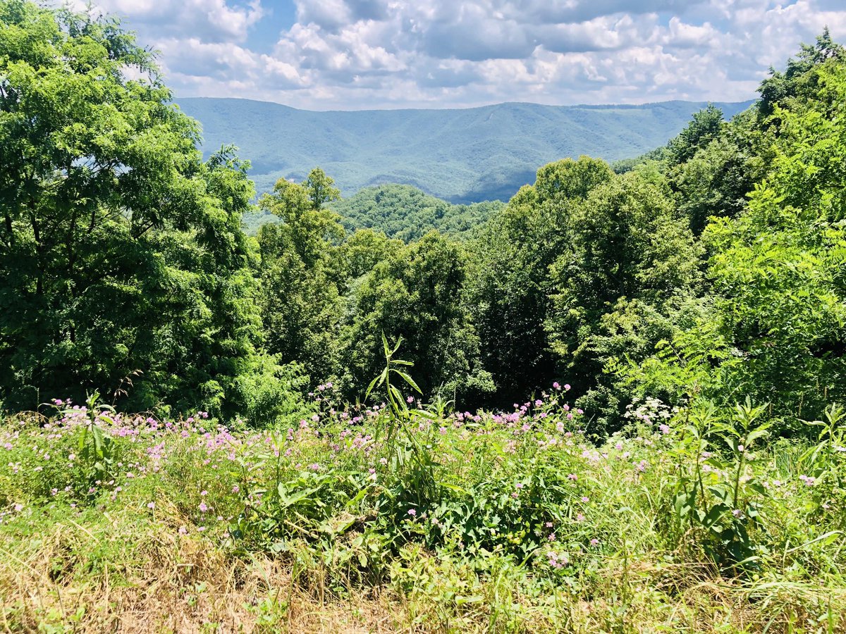 Andrew Brandt tweet media