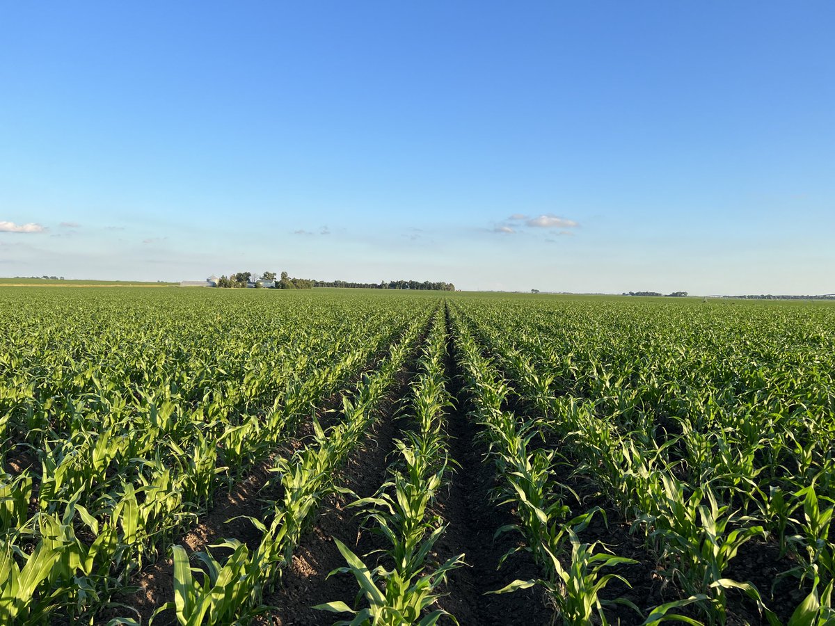 Cyclone Farms tweet media