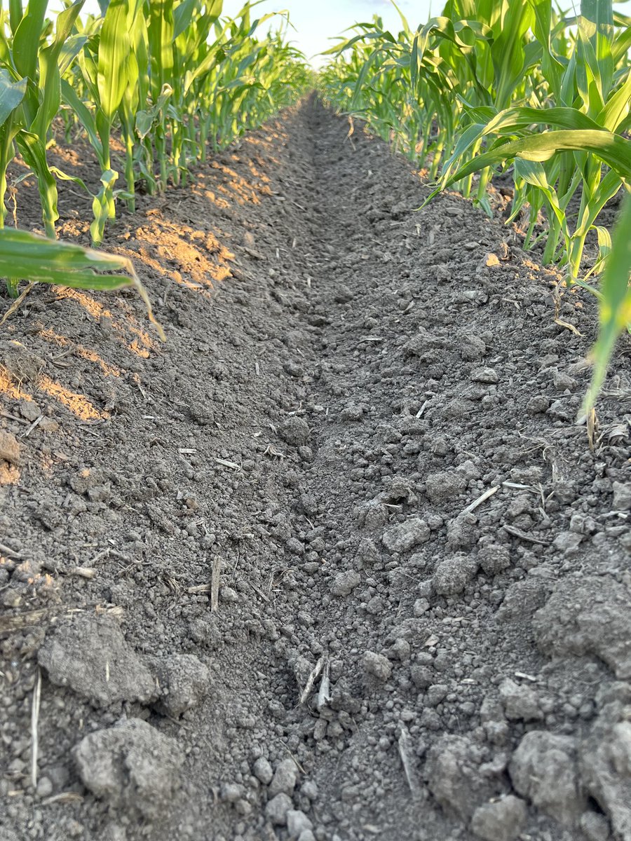 Cyclone Farms tweet media