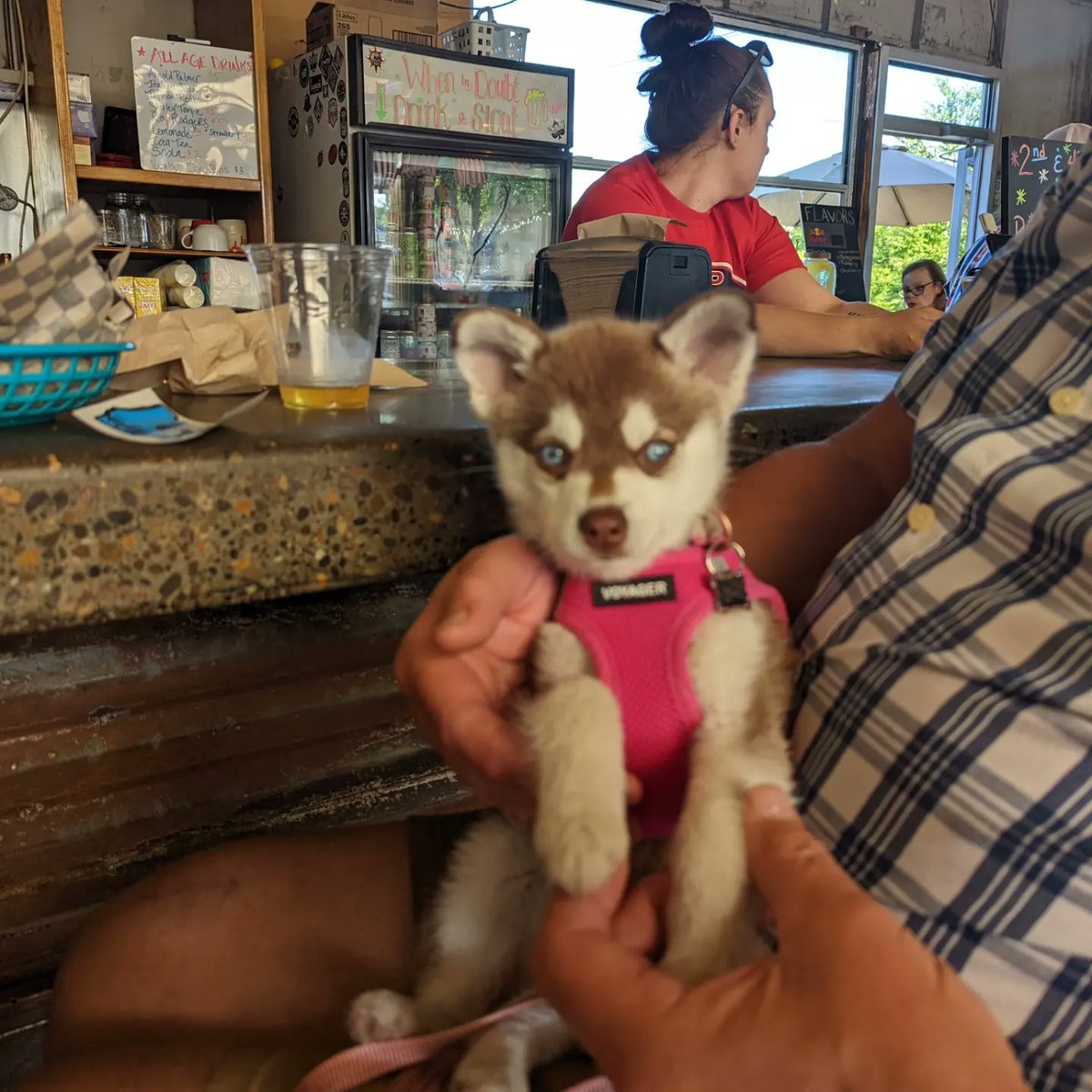 McKenzie Brewing Co (@mckenziebrewing) on Twitter photo Come join us @thetapstation 5 #awardwinning <a href="/eugenesteelhead/">Steelhead Eugene</a> #mckenziebeer on tap. Enjoy the crowd, the amazing staff, <a href="/clover/">Shannon García</a>&red playing a live set, and of course Great Beer. #supporteugenesmallbusinesses #eugenecraftbeer #oregoncraftbeer #pnwisbeautiful #saynotoordinarybeer Come join us @thetapstation 5 #awardwinning <a href="/eugenesteelhead/">Steelhead Eugene</a> #mckenziebeer on tap. Enjoy the crowd, the amazing staff, <a href="/clover/">Shannon García</a>&red playing a live set, and of course Great Beer. #supporteugenesmallbusinesses #eugenecraftbeer #oregoncraftbeer #pnwisbeautiful #saynotoordinarybeer