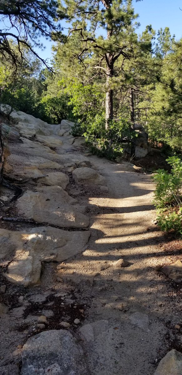 Yowell_Michael's tweet photo. A double double tap. Canada Day and Independence Day weekend. Canada #ArmyRun training run AND Canadian #NavyBikeRide #16 trail views in Palmer Park
#CelebrateTrails
#IRunWithGOATz
#OneNavyStrong https://t.co/MY5tggZ3kQ