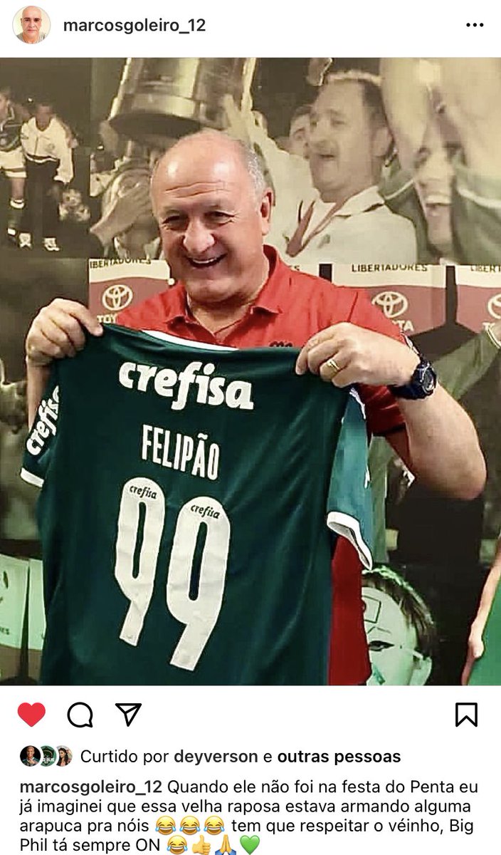 t-shirt camiseta palmeiras ♡ (png) em 2023