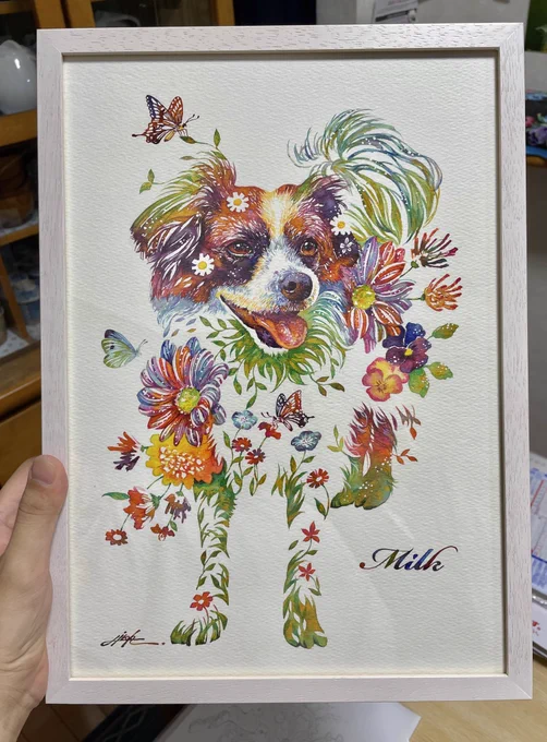 パピヨンの花 