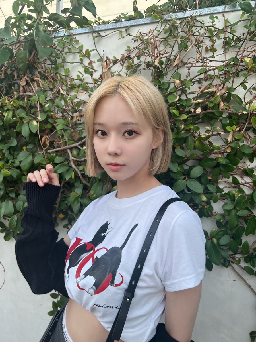 winter pics tweet media