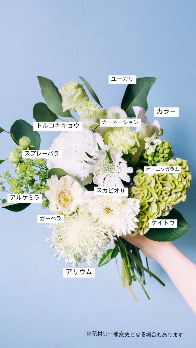 911です✨️ おまかせ花束　クール便 20000_1080x.png?v=1739941227