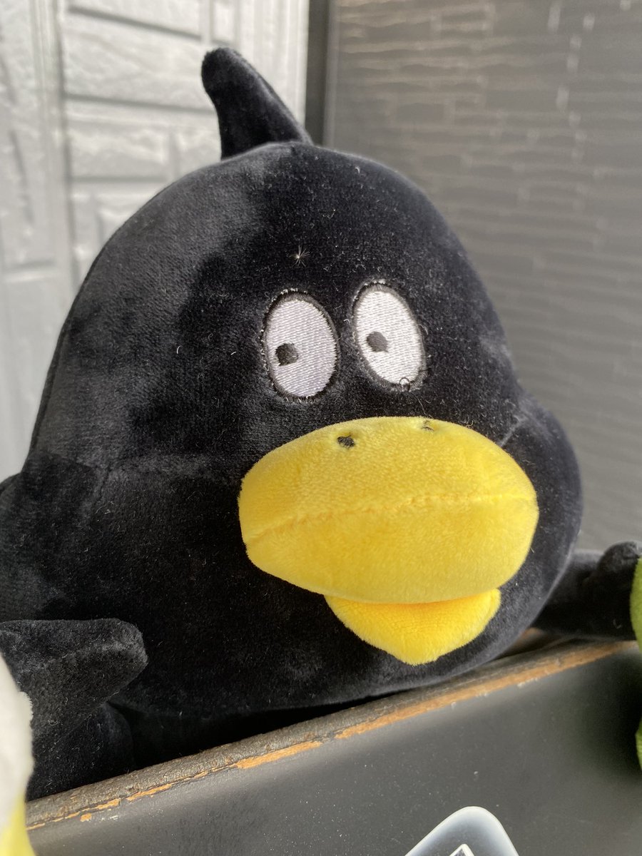 大雨でございますね。。。
Freakではダックローさんがビールを嗜んでおります。。。
へべれけ注意！！
本日もお待ちしております🤭