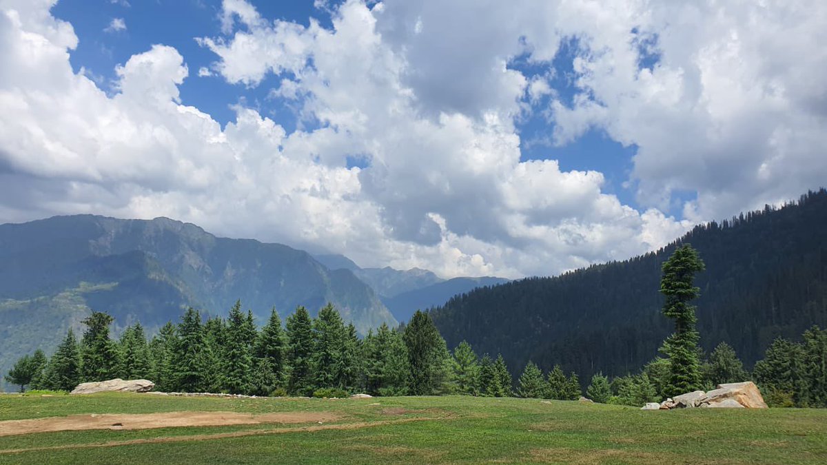 TFETIRTHAN's tweet photo. Mornings here are dreamy - bird orchestra, clouds that come down and a cool breeze. Chai of course. How does your morning look? https://t.co/IWxjx8dfGK