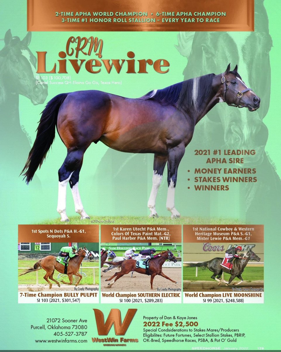 CRM Livewire continues to dominate the paint stallions. CRM LIVEWIRE swept the first three races at FAIR MEADOWS in TULSA tonight!! CONGRATS TO THE CONNECTIONS!#CRMLivewire