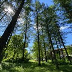 ツイートに含まれる画像