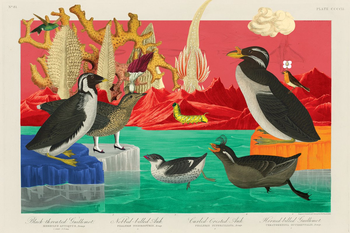 🐛 Spotted… what else do you spot? 😍 #Solana #NFTs