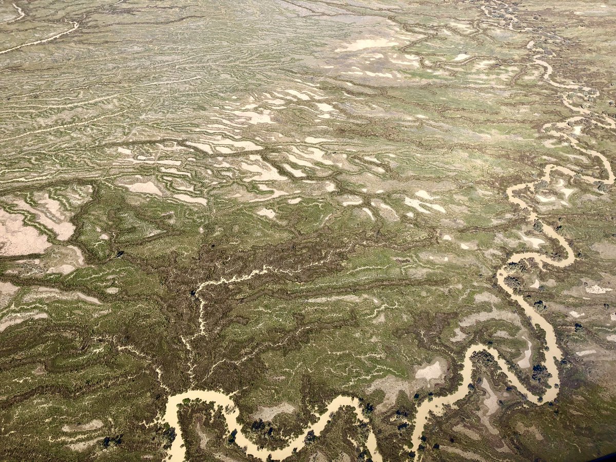 andrew_picone's tweet photo. In southwest Qld near the SA border, the Cooper Creek is transformed by rain that fell further north into an epic wetland. Wangkumara Country. https://t.co/nm5qMoHyMs