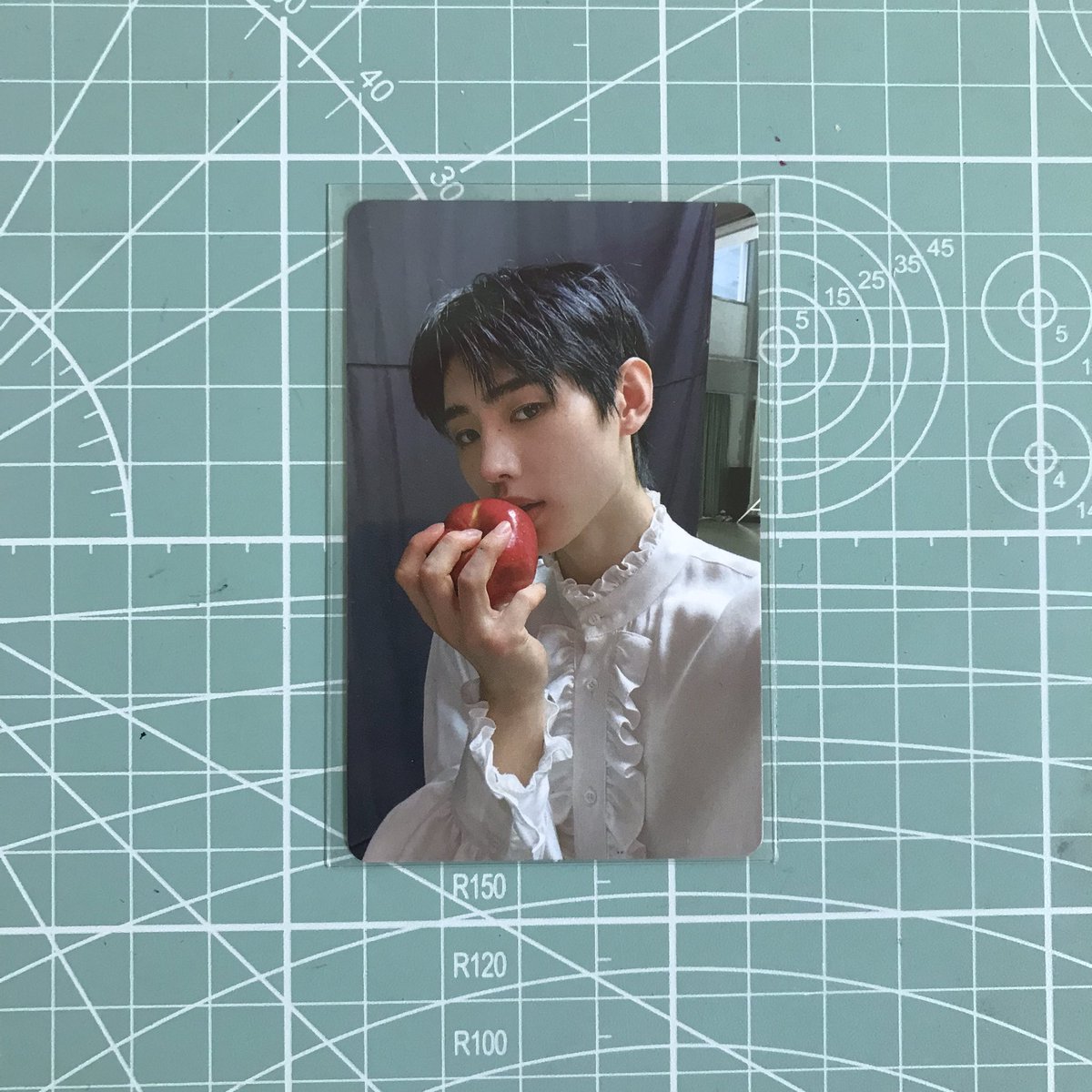 prioshion's tweet photo. 🥣 wts lfb ph .ᐟ  #kaepabilipi

 — apple hoon
   ⌕ ₱380 + 20 pf
   ⌕ has album mark
   ⌕ payo !

〰 : reply or dm to claim ! https://t.co/DkTc4sTCfA