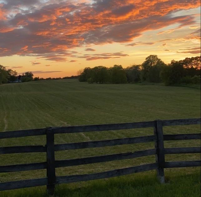 LTHSHOUSE's tweet photo. Au larry 
Donde H’arry vive en el campo con su pequeña hija y necesita la ayuda de un inquilino.
o 
Donde L’ouis está cansado de la rutina y consigue un nuevo trabajo. https://t.co/llZH12Fnvt