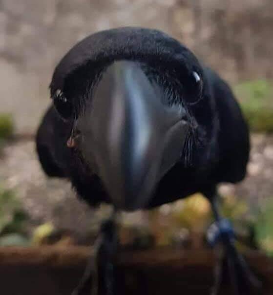 KAY !!! (@stealthetruth) on Twitter photo 