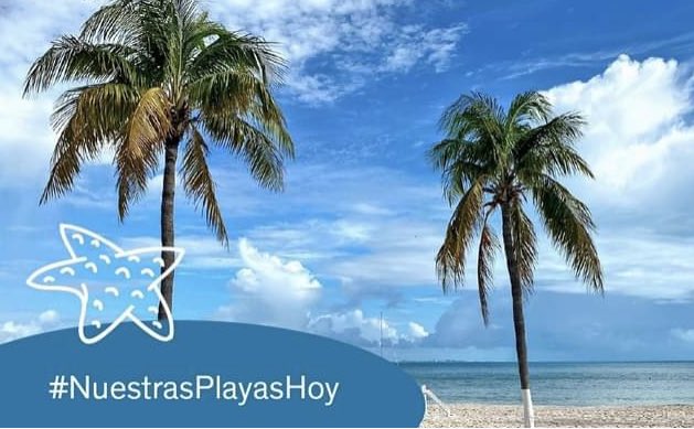 Beaches Today at Quintana Roo showing no Sargazo: #NuestrasPlayasHoy 
facebook.com/709205461/post…
