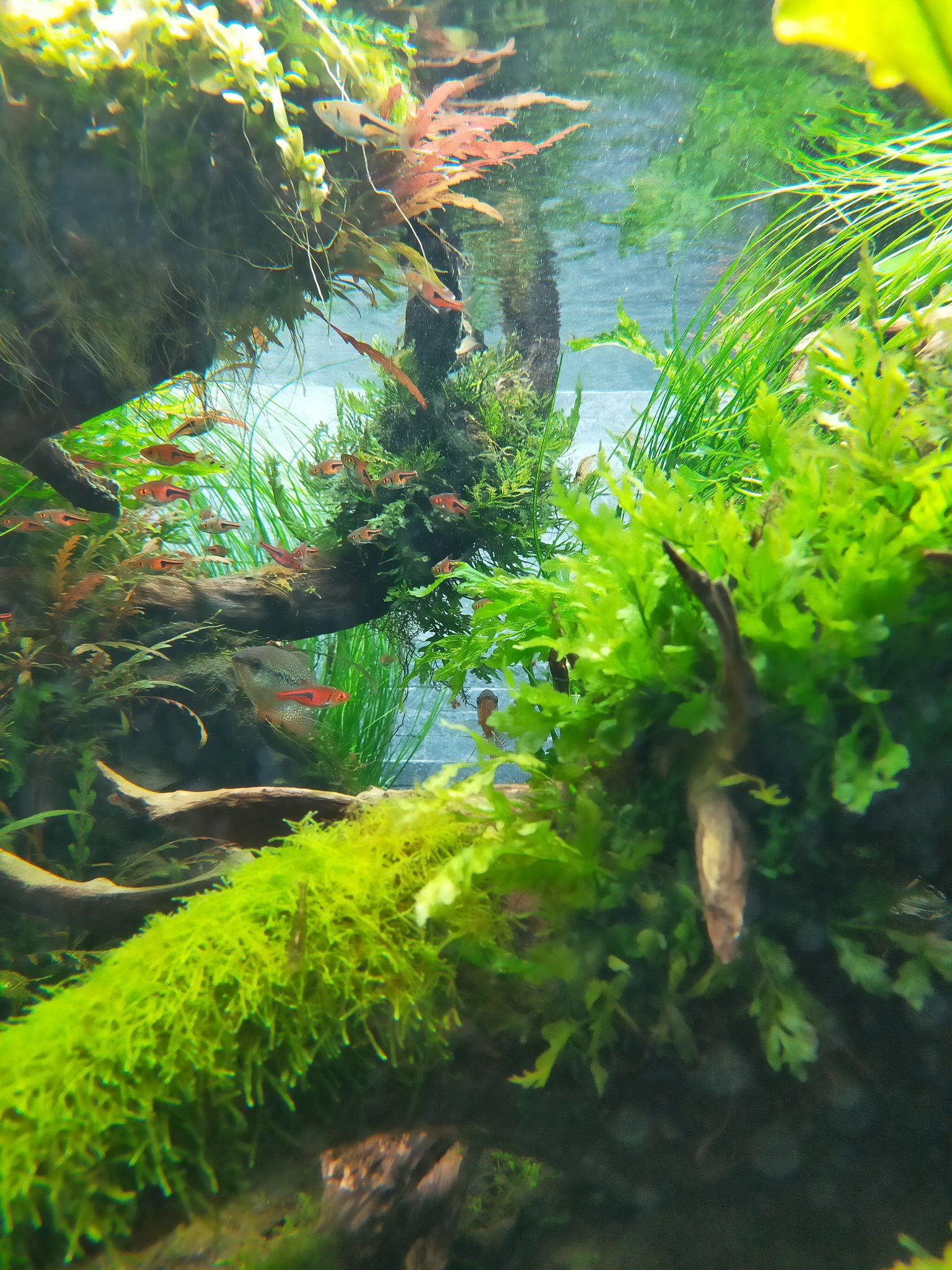ｯﾄ すみだ水族館よかった T Co Om3b3ddajm Twitter