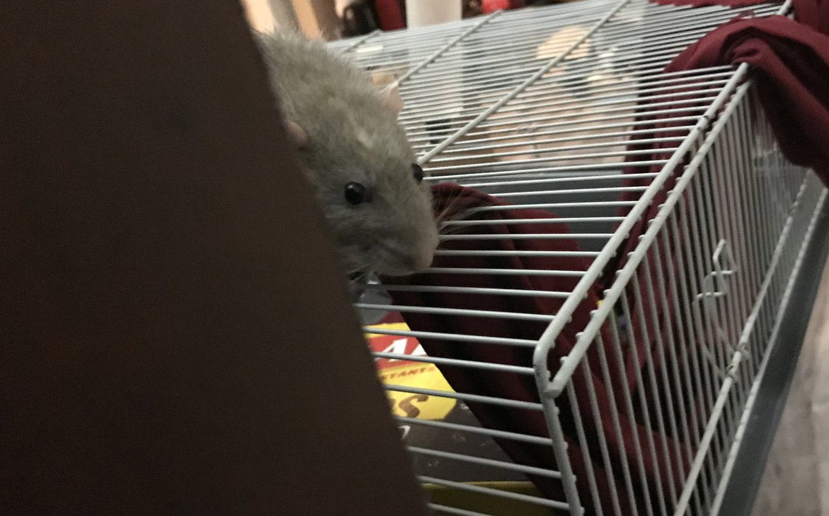 Every snack you eat, I’ll be watching you~🎶🎵