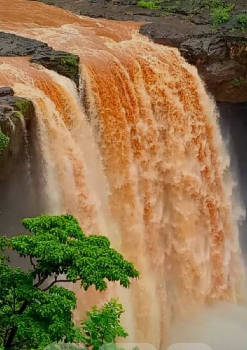 @GohelSaurabh3 <a href="/SDMDharampur/">SDM Dharampur</a> <a href="/InfoValsadGoG/">Info Valsad GoG</a> <a href="/collectorvalsad/">Collector Valsad</a> <a href="/hareets/">Hareet Shukla</a> <a href="/AlokPandey_IAS/">Alok Pandey IAS</a> <a href="/GujaratTourism/">Gujarat Tourism</a> <a href="/CMOGuj/">CMO Gujarat</a> શંકરધોધ 
ધરમપુર ( વિલ્સન હિલથી પ કિમી)