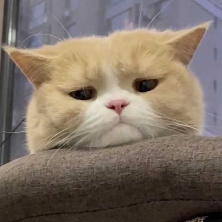 njmcatfeed's tweet image. 🙁

#JAEMIN #재민 #이거재민이