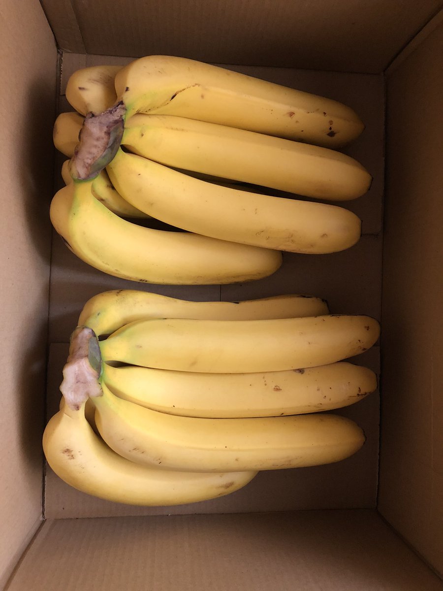 Follow Tony Lipton S Lipton Tony Latest Tweets Twitter