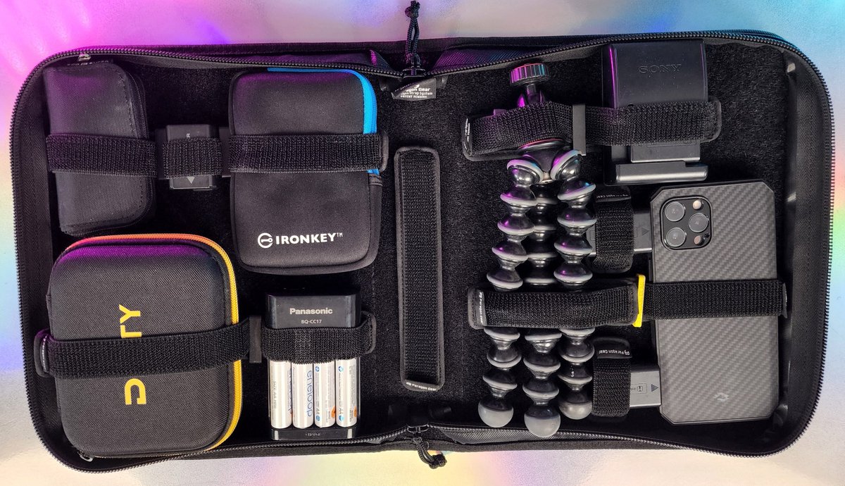 Shannon Morse tweet media