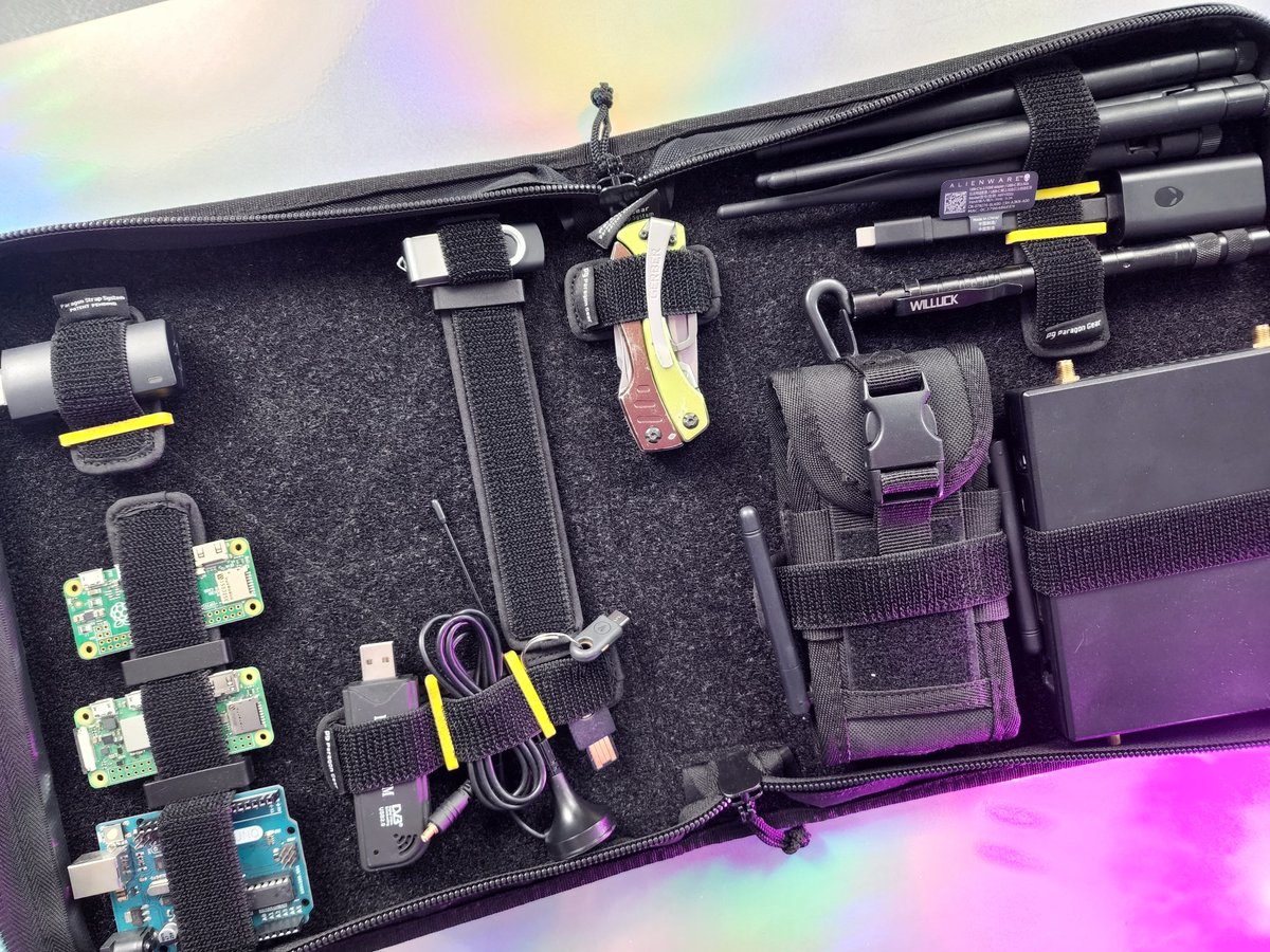 Shannon Morse tweet media