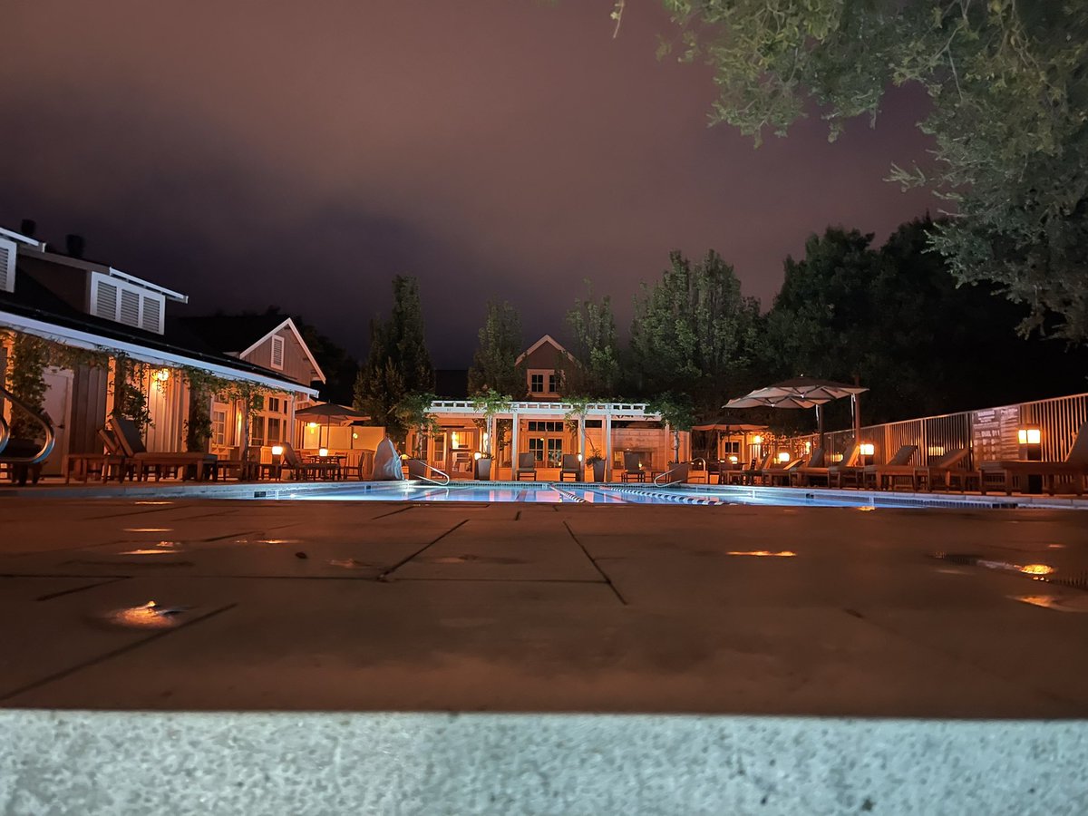 Kaz-チュニドラ tweet media