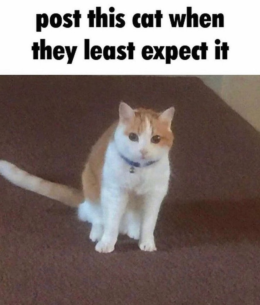 MemesToView's tweet photo. https://t.co/okwHFeoqIZ