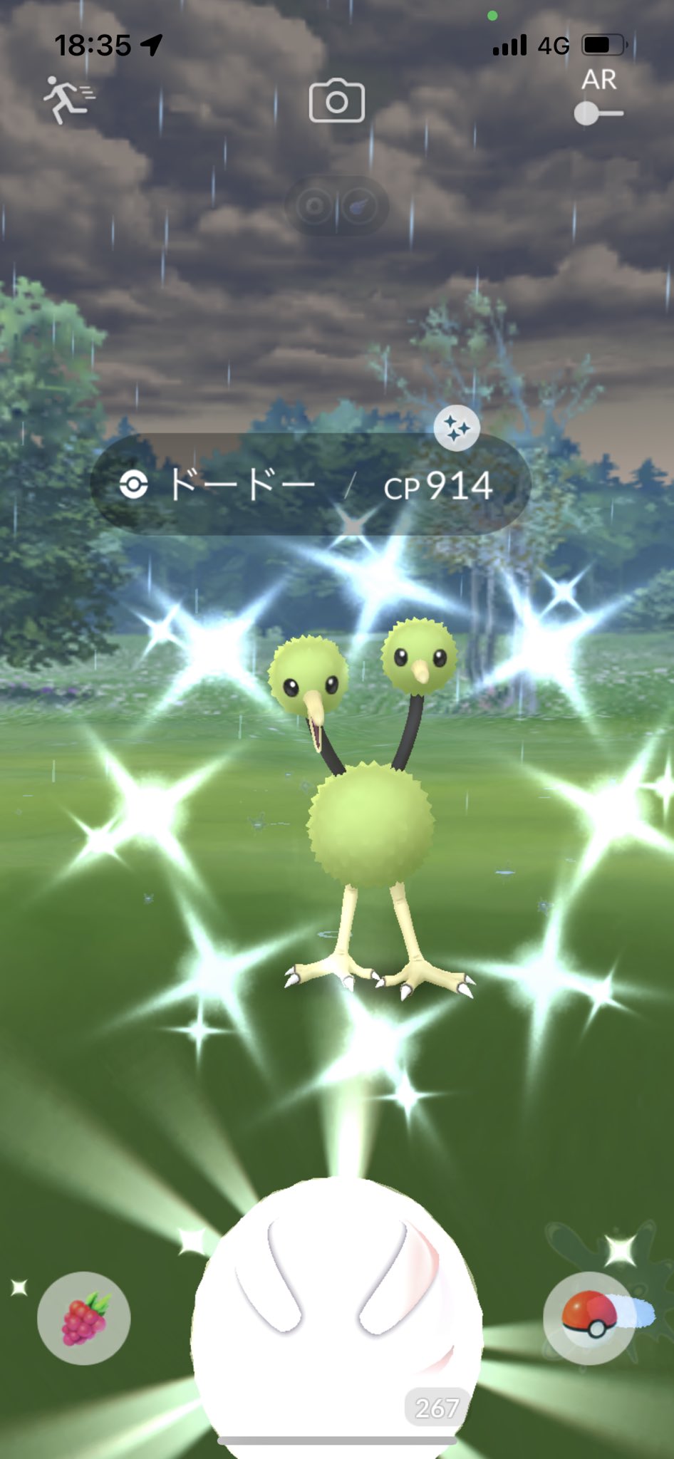 Yamagon グリーンドードーゲッツ オスメスコンプ出来たから後で進化させましょう ポケモンgo 色違い ドードー T Co Kwgwsjrn8y Twitter Yamagon グリーンドードーゲッツ オスメスコンプ出来たから後で進化させましょう ポケモンgo 色違い ドードー T Co Kwgwsjrn8y Twitter