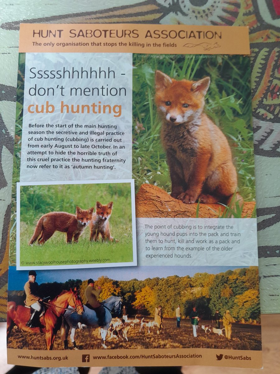 cliveswinsco's tweet photo. @xethicalemsx @northwalessabs Indeed, and this is how the #FoxhuntingSroungers start their killing spree #Cubhunting 
 Support Our #BoldHSA please folks, and let's finish off the sadistic #NastyHunts for Good 🦊 https://t.co/ihR4RgoTaP