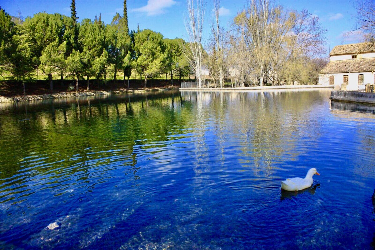 ¿Conoces Jaén? tweet media