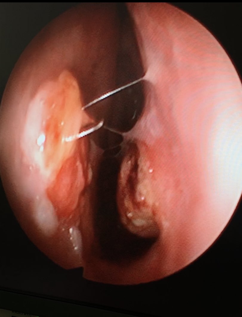 د.حميد  الحميد tweet media