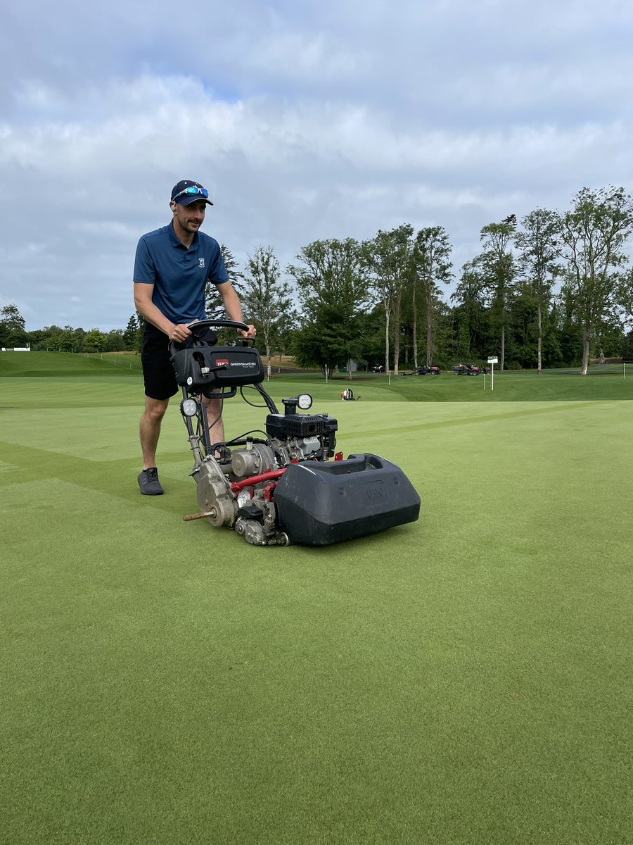 Ger Gorman tweet media