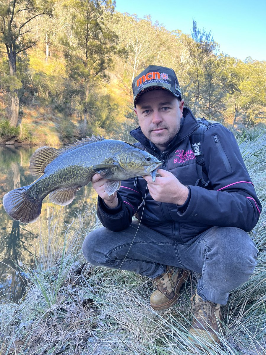 ShaunMcNamara's tweet photo. Pretty fresh chasing some Native Cod . #fishing #australianative #freshwaterfishing #daiwa #codfishing #minustwodegrees https://t.co/hN7gWsbV0k