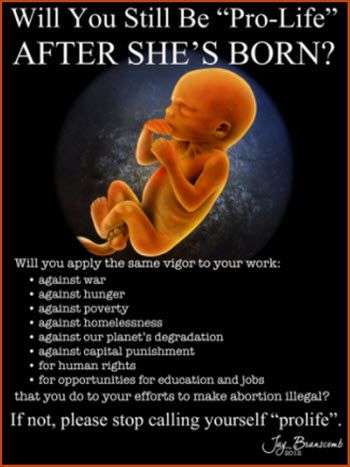 Persephone_Sews's tweet image. Every moment you spend wanking off to uterus porn is a minute you could have spent fighting for:
-Universal healthcare
-Permanent homes for foster kids
-Lower adoption costs
-Enforced child support
-Food stamps and school lunch programs
-#GunSafetyNOW 

#FakeProLife #GOPDeathCult