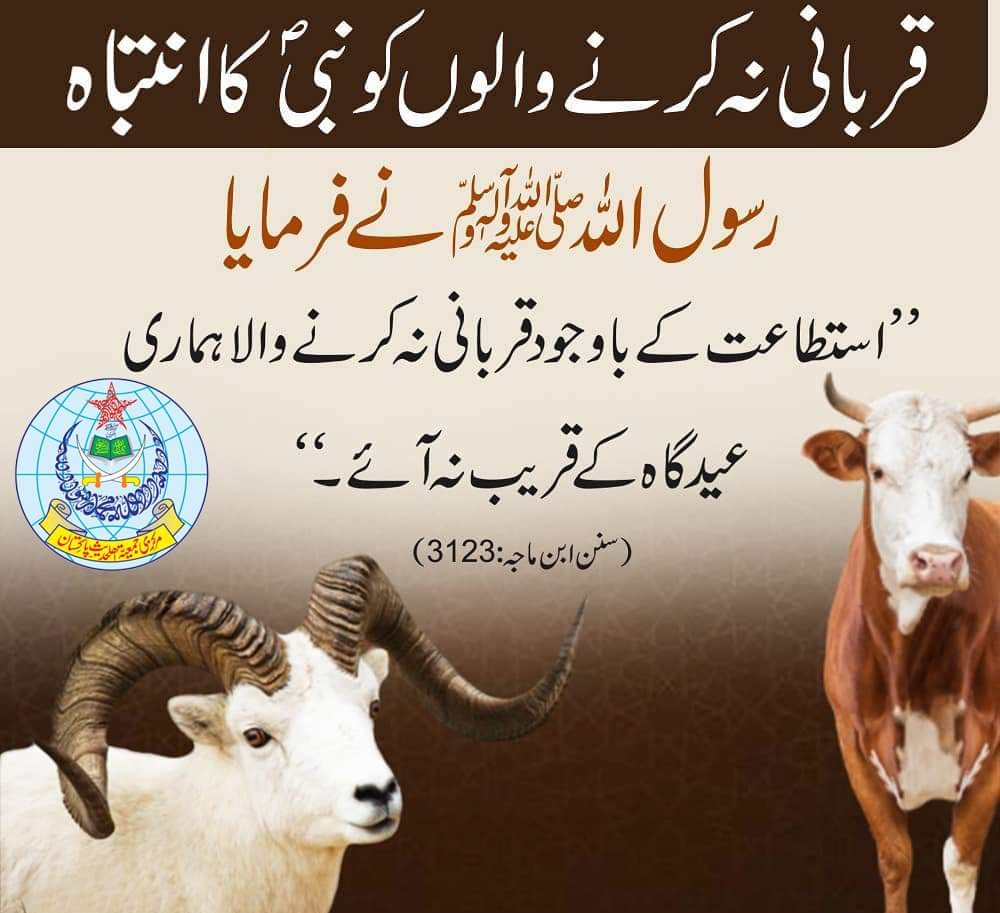 Nazeer Hussain Nazeer Hussain tweet media