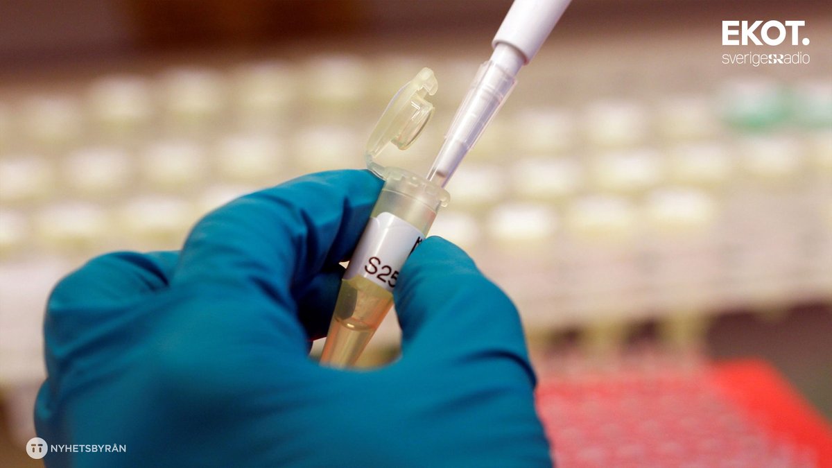 Banbrytande DNA-teknik kan leda till att fler brott klaras upp. NFC kan med ny programvara hantera komplexa DNA-resultat.
Foto: Lise Åserud/NTB/TT
sverigesradio.se/artikel/banbry…